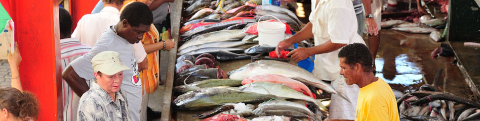 banner image fish market