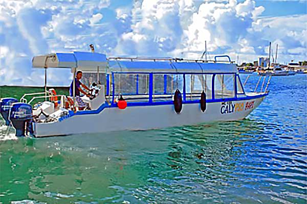 Big opportunity for sea viewing: The Calypso glass-bottomed boat with room for 30 passengers