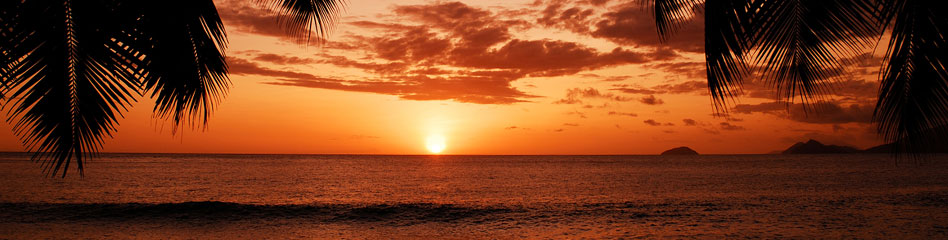 banner image sunset