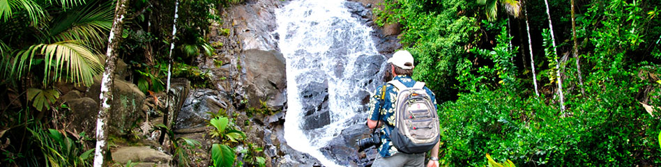 banner image waterfall