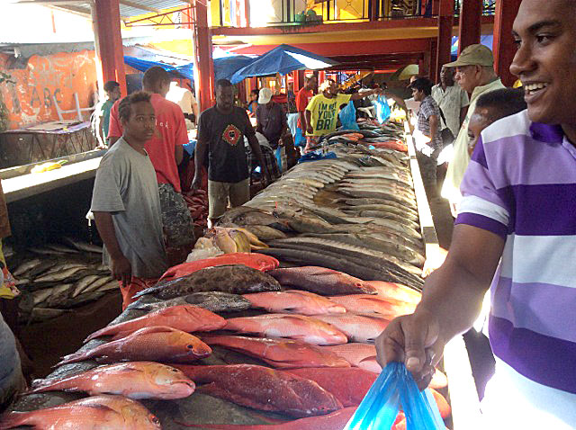 Net result:  The fish are neatly arranged to attract the gourmets